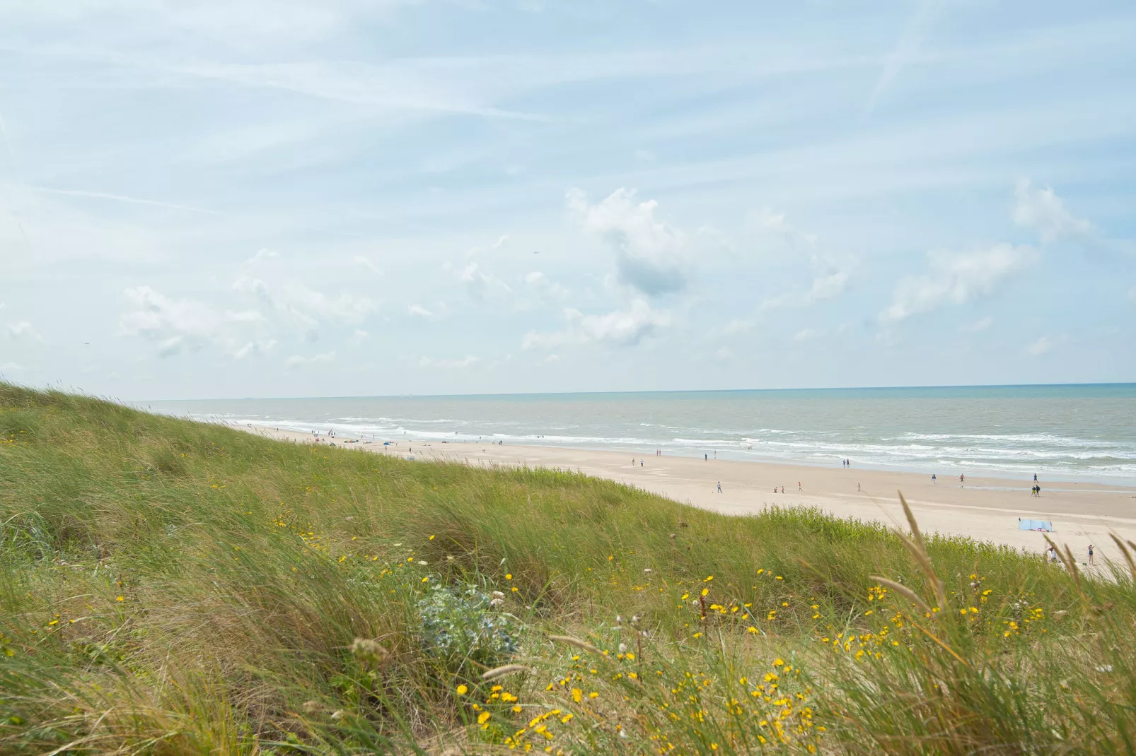 Strandhuis-Gebieden zomer 1km