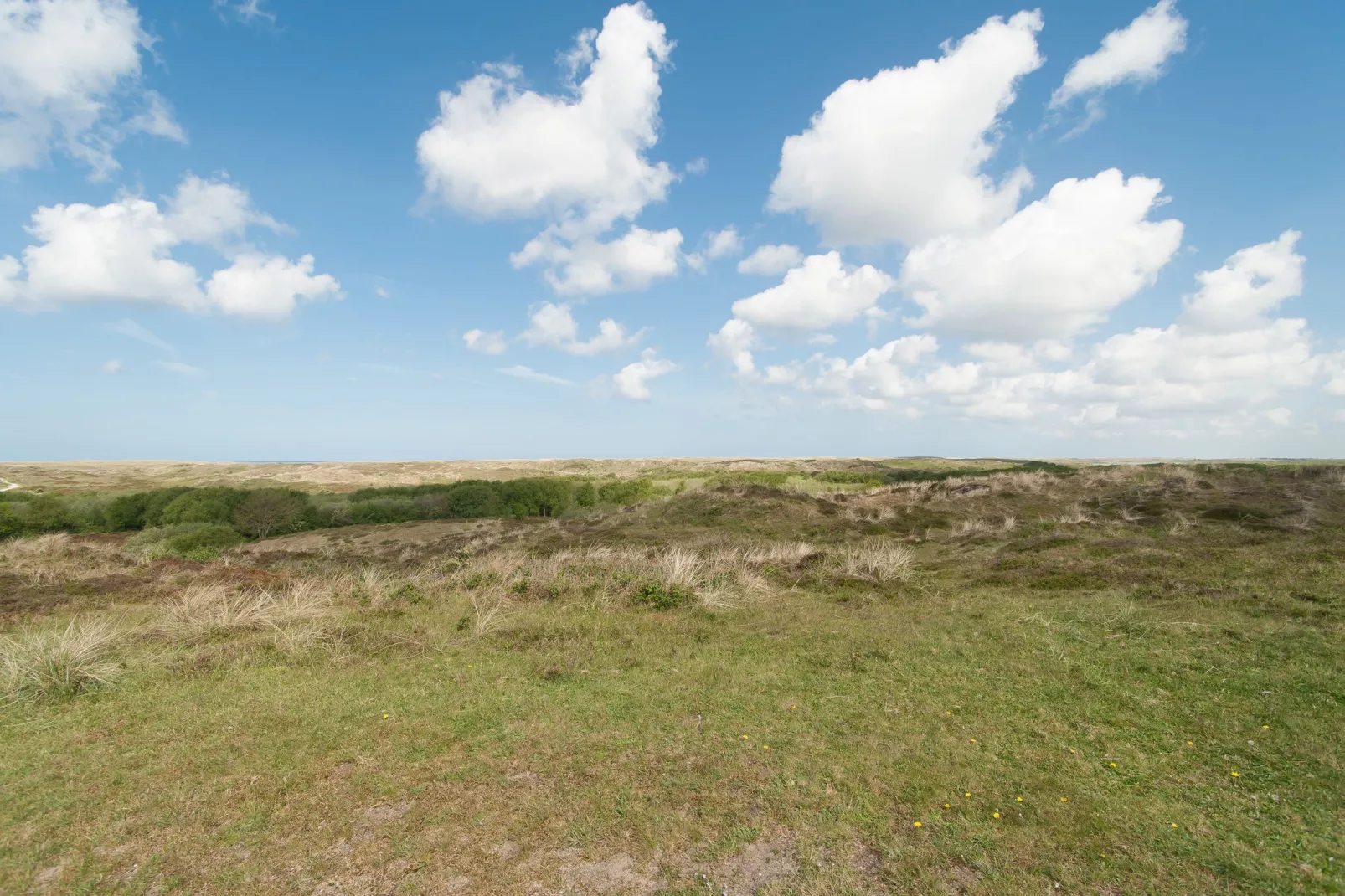 Strandhuis-Gebieden zomer 5km