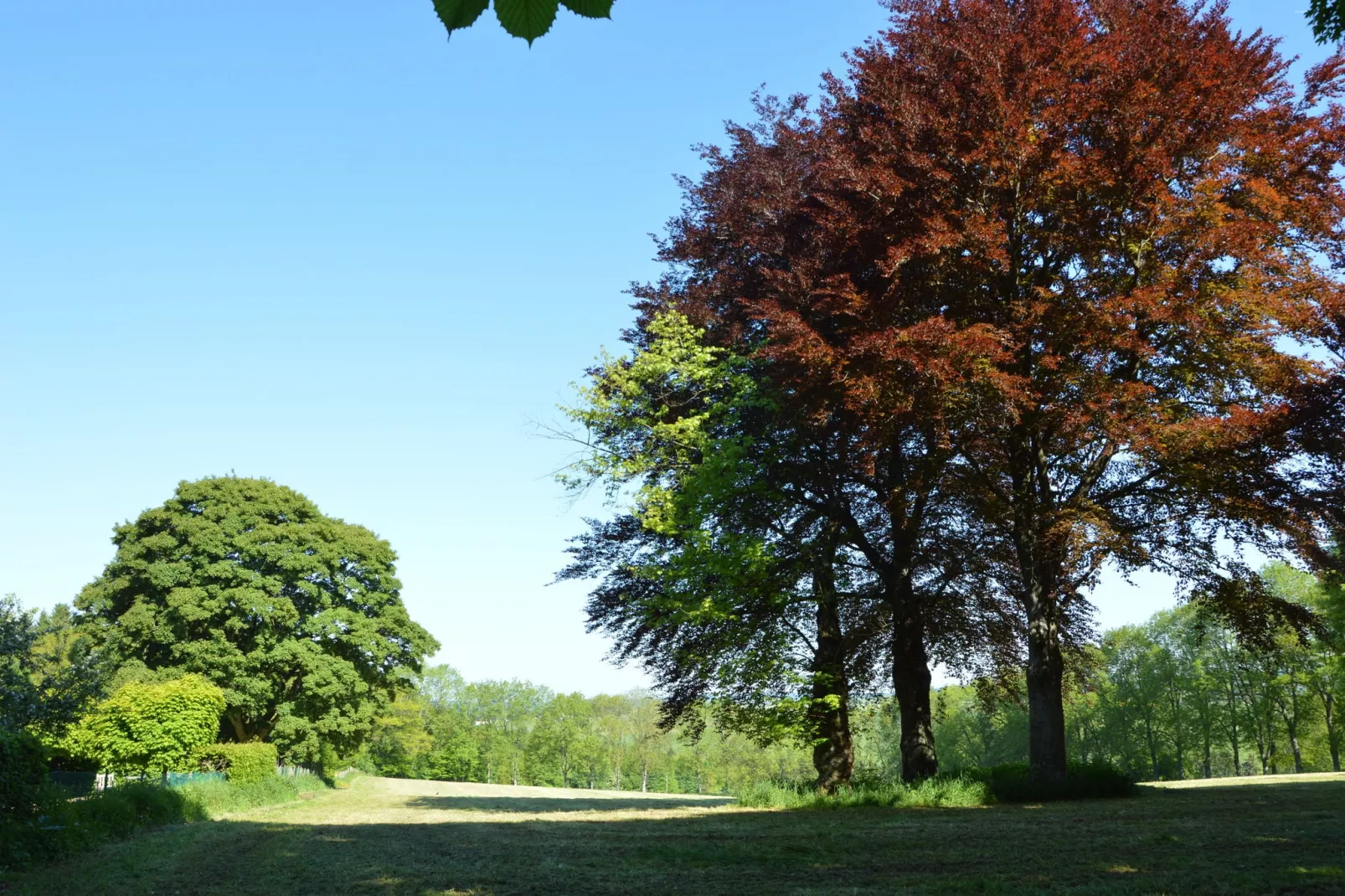 Fauvillers-Gebieden zomer 5km