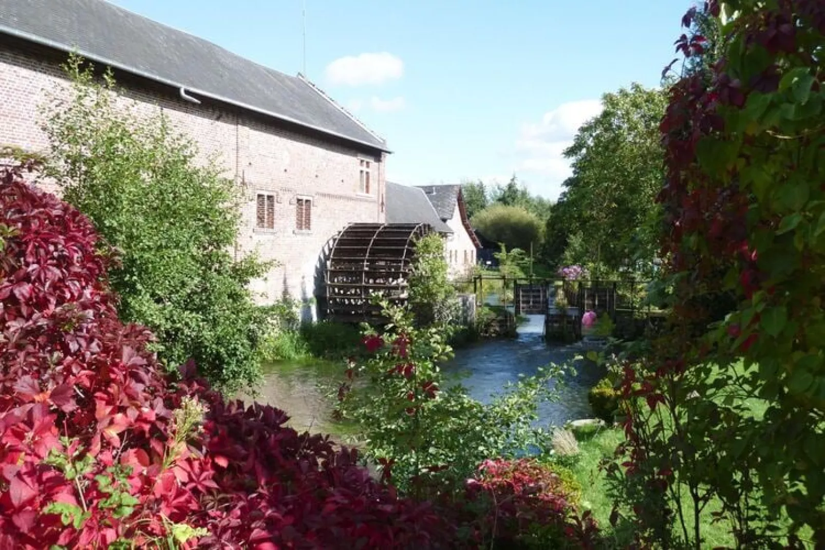 Holiday home, Criel-sur-Mer-Nymphéa-Gebieden zomer 5km