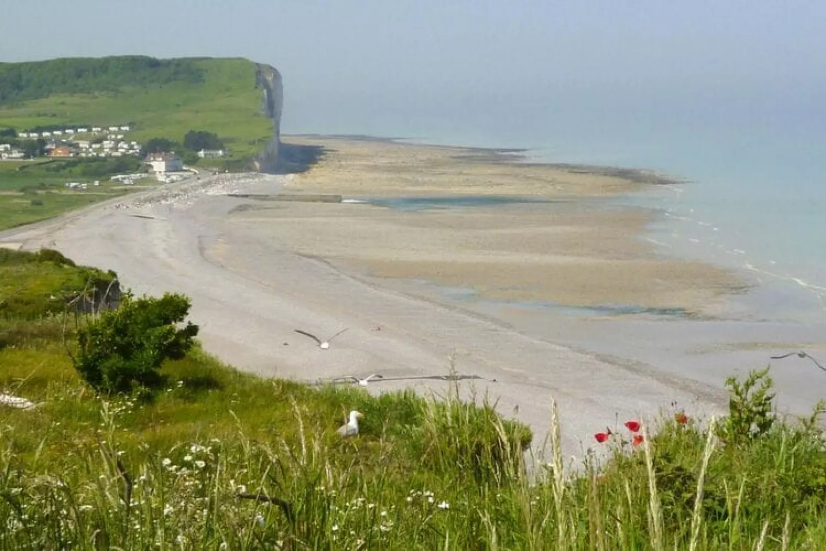 Holiday home, Criel-sur-Mer-Nymphéa-Waterzicht