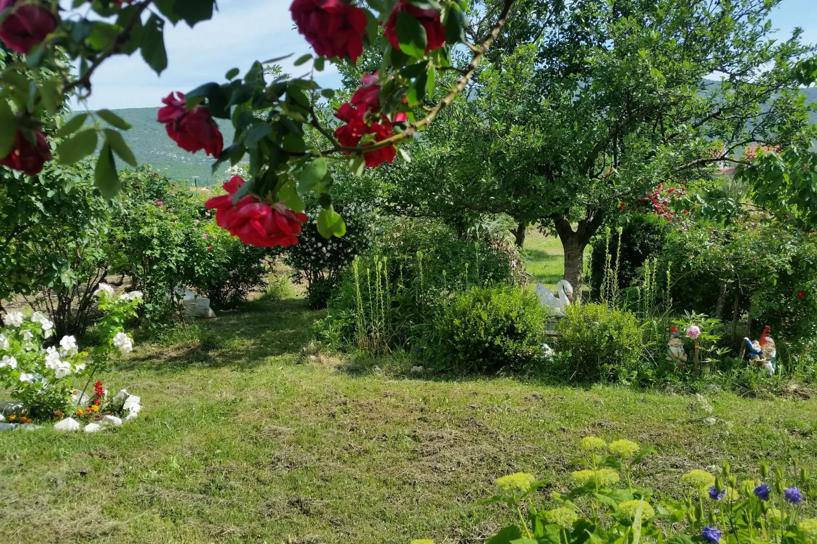 Villa Almas holiday house-Sfeer