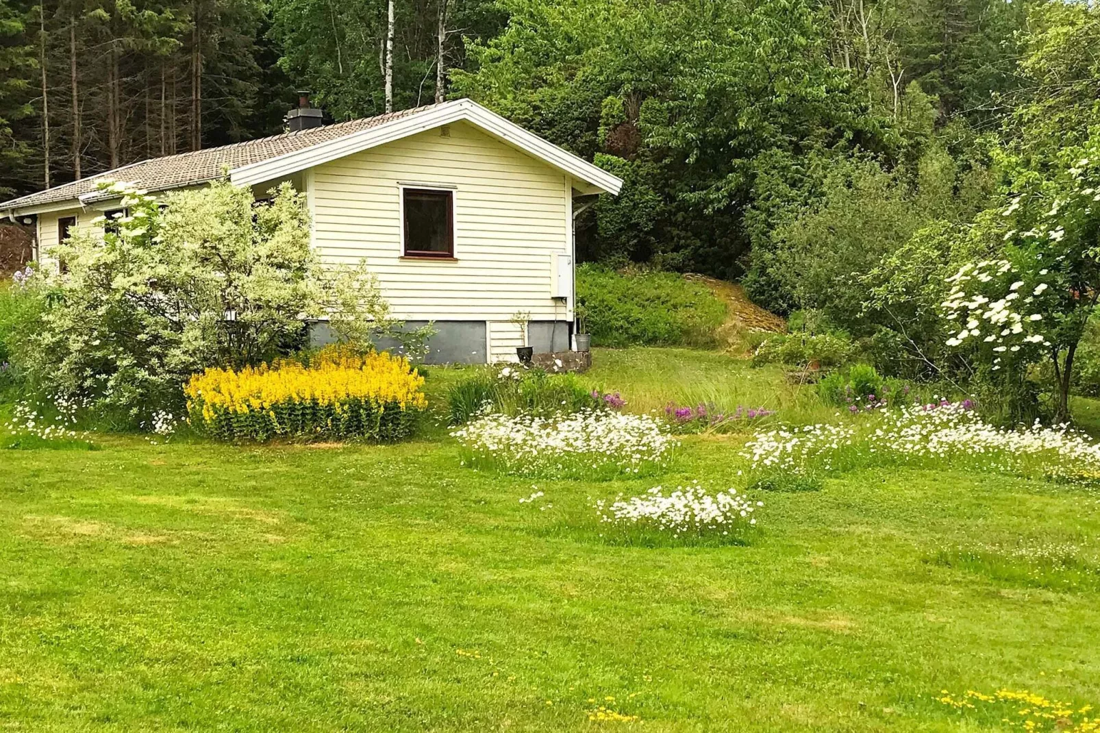 4 persoons vakantie huis in DINGLE-Buitenlucht