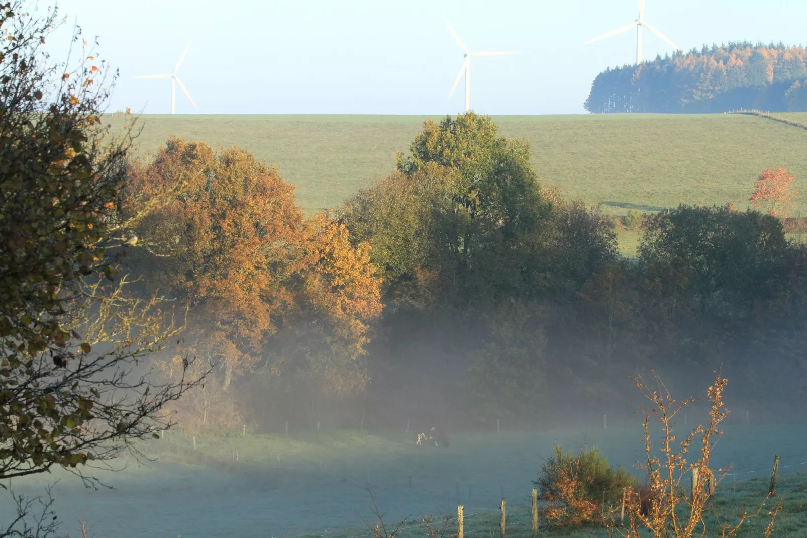 La détente à la campagne-Uitzicht zomer