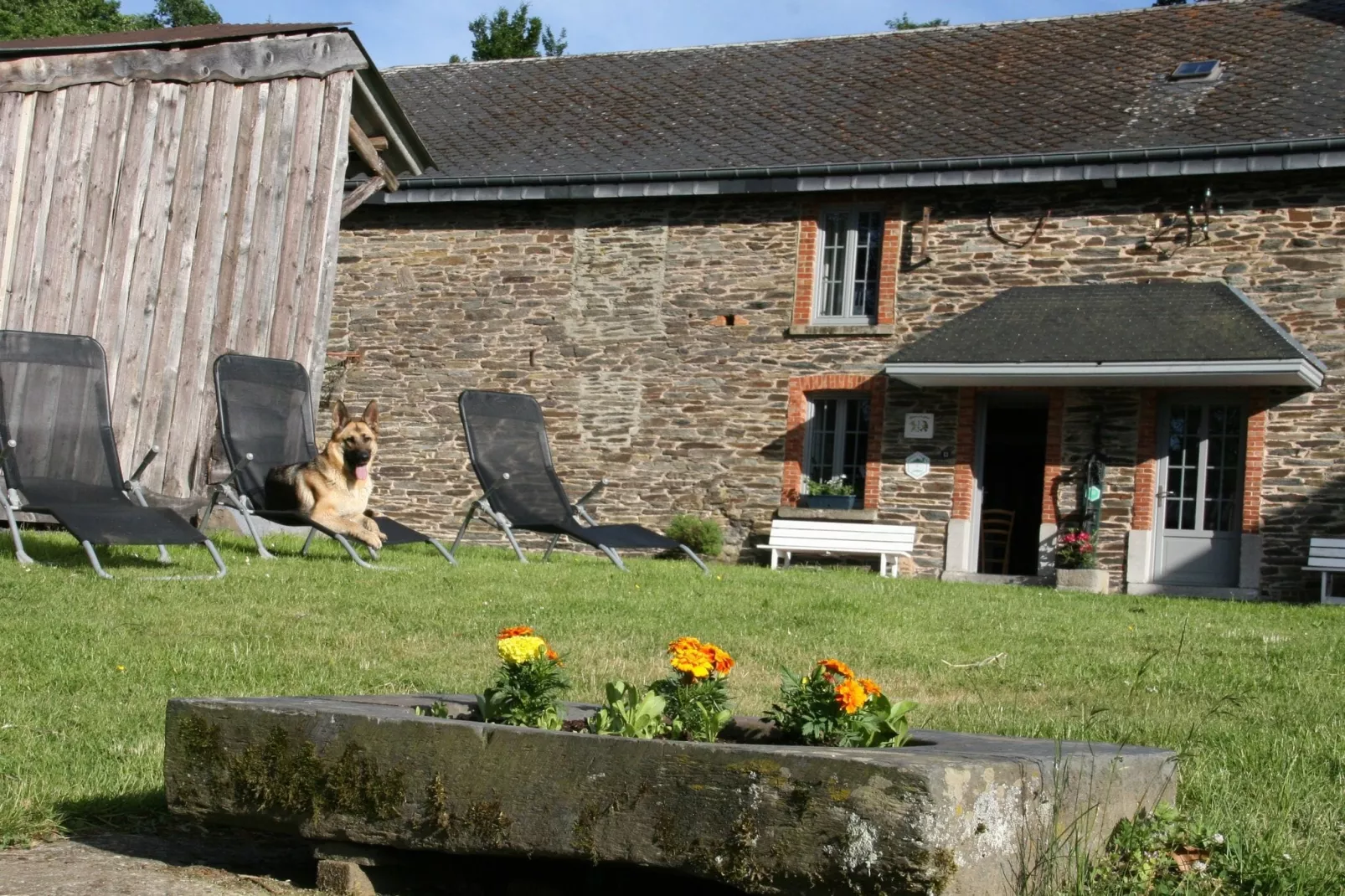 Le Moulin d'Halconreux-Tuinen zomer