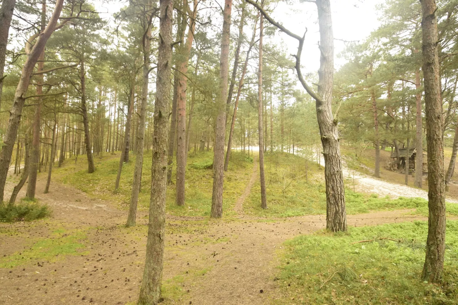 Willa Karwieńskie Błoto Drugie-Gebieden zomer 1km