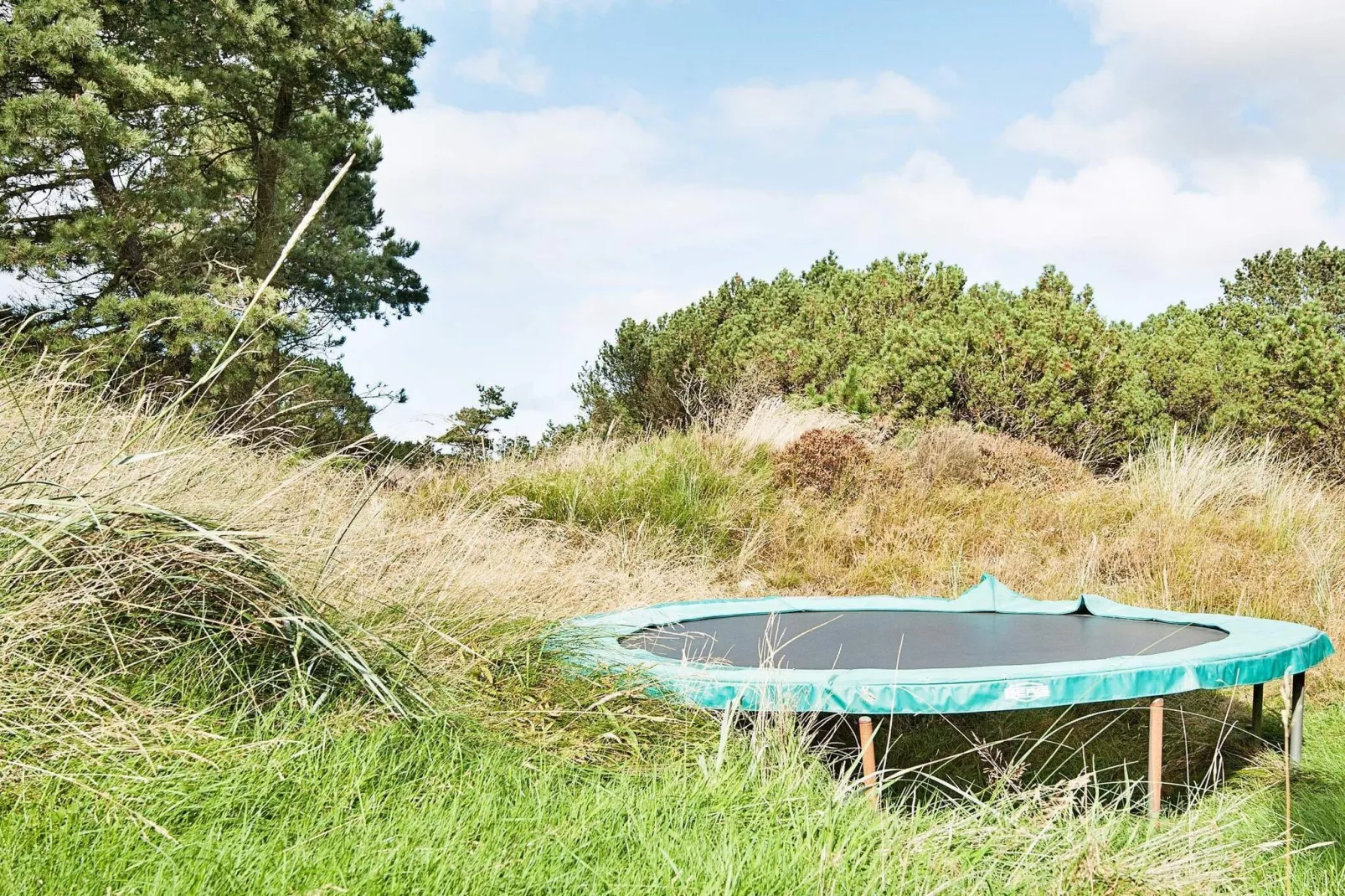 8 persoons vakantie huis in Blåvand-Uitzicht