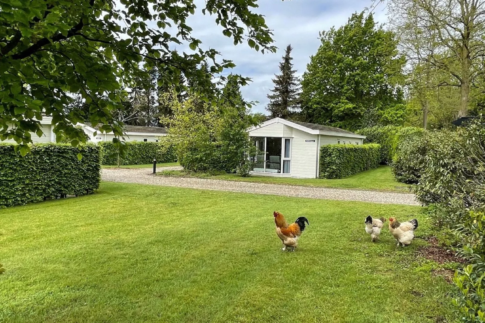 Vakantiepark de Tabaksschuur 1-Tuinen zomer