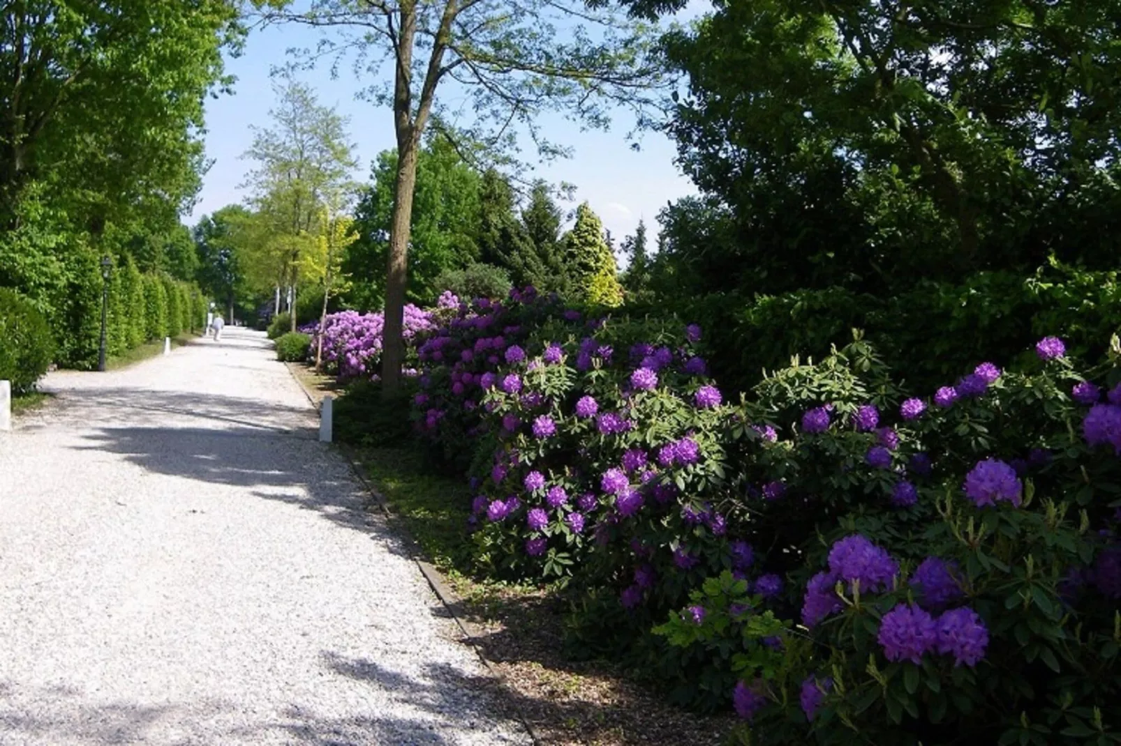 Vakantiepark de Tabaksschuur 1-Parkfaciliteiten