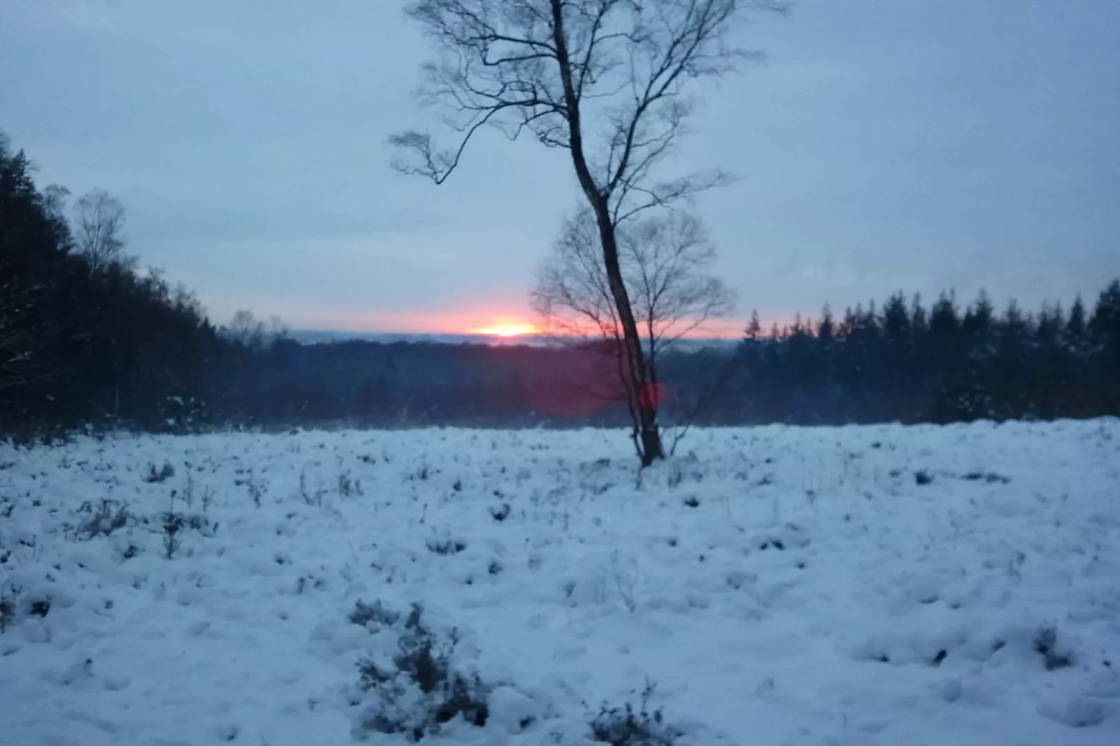 Vakantiepark de Tabaksschuur 1-Gebied winter 1km