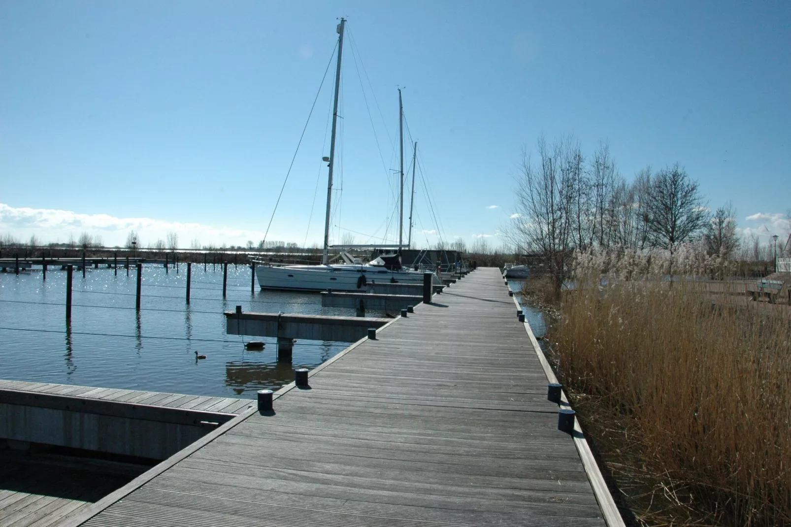 Boot Zonder Naam-Gebieden zomer 1km