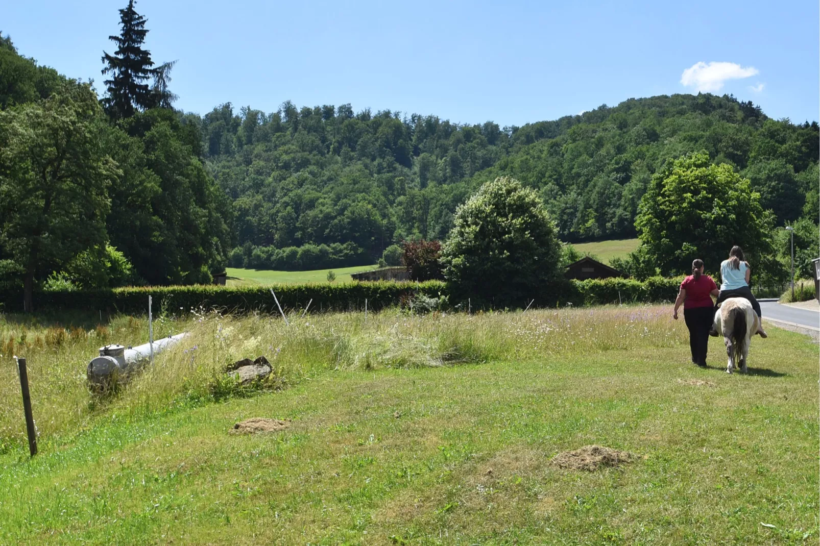 Am Ferienbauernhof - FW 4-Gebieden zomer 1km