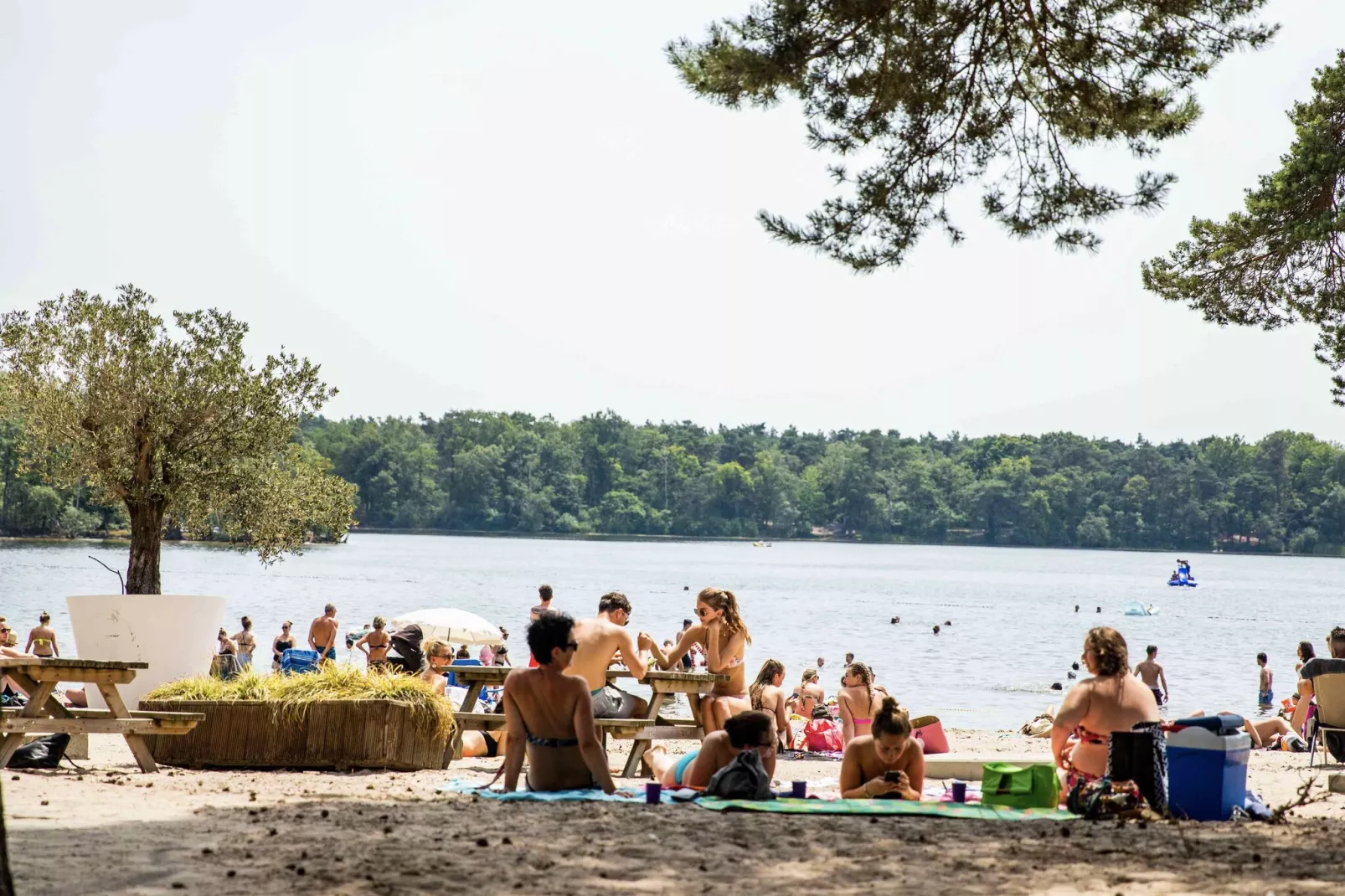 Résidence de Leuvert 1-Gebieden zomer 5km