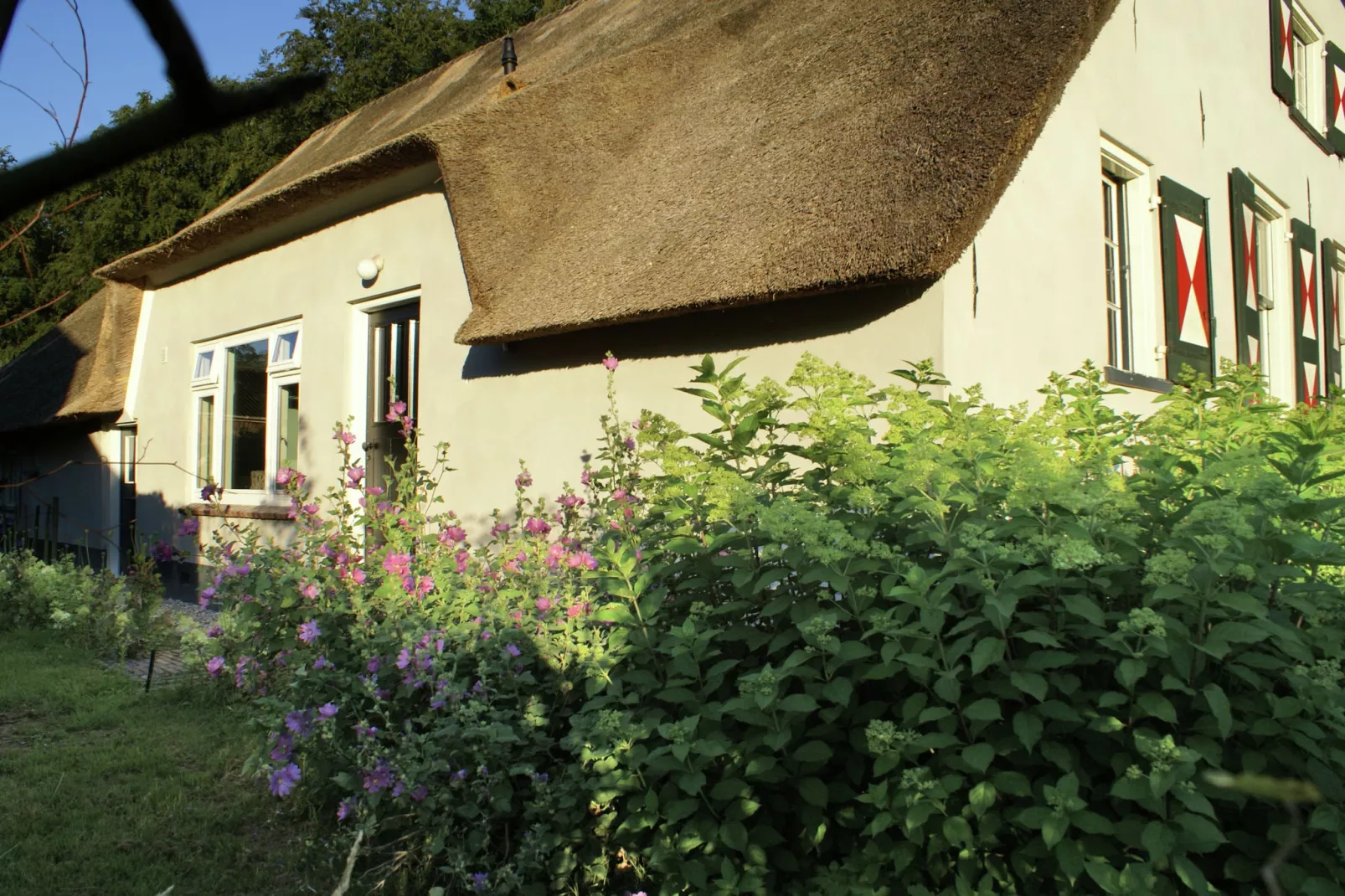 Hofstede Groot Blankenstein-Buitenkant zomer