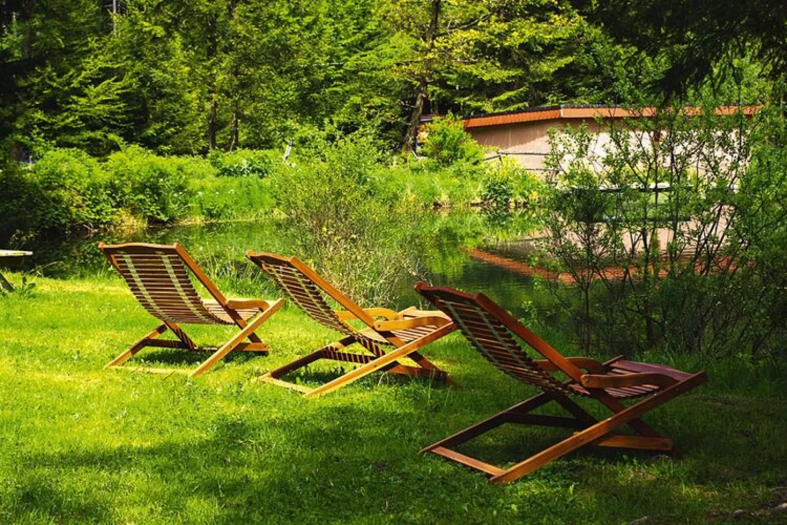Holiday flats Forellenhof Dabo  / Typ A - 2 Erw 55 qm-Tuinen zomer