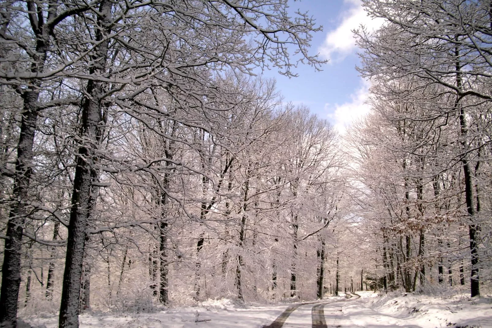 Au chat moineau-Gebied winter 5km