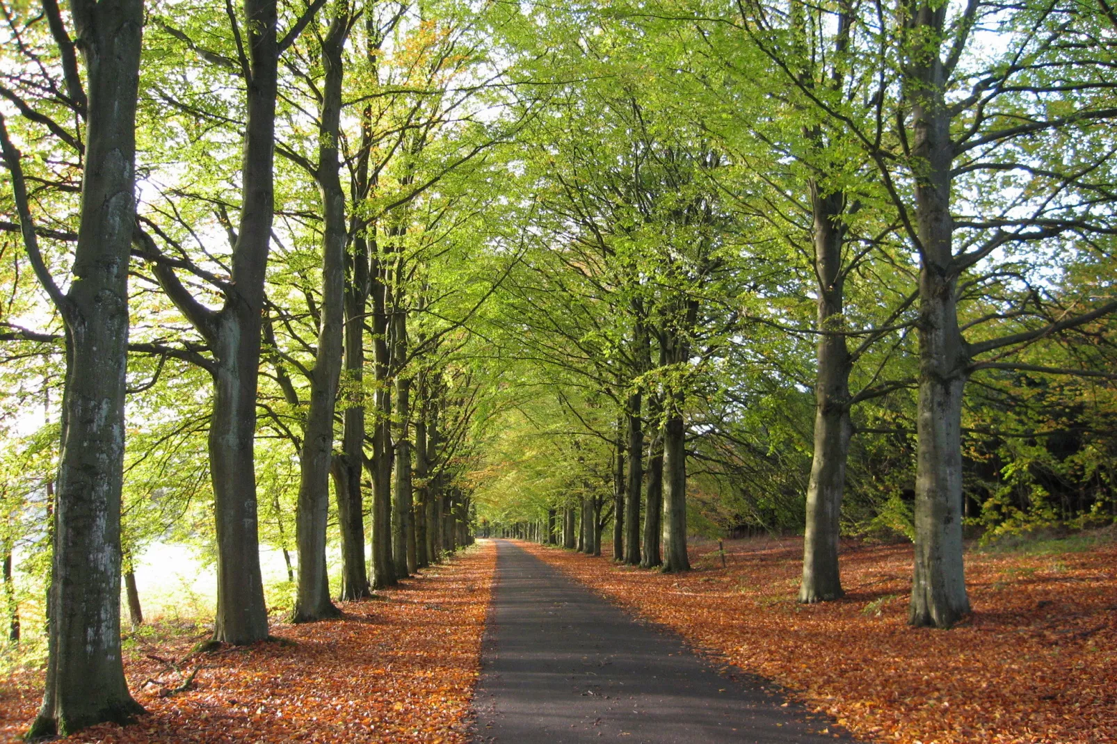 Maison Ollomont-Gebieden zomer 5km