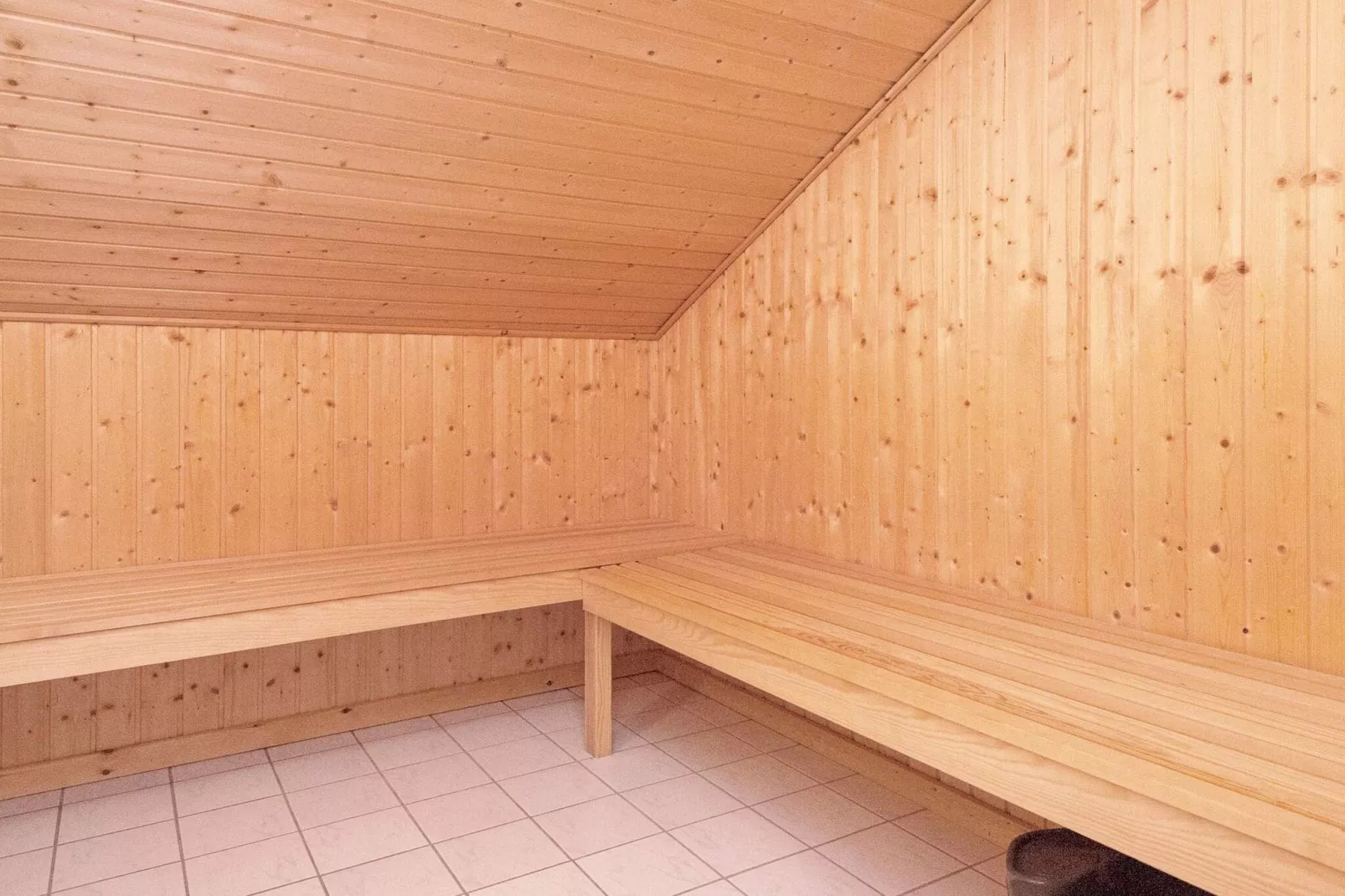 6 persoons vakantie huis in Blåvand-Sauna