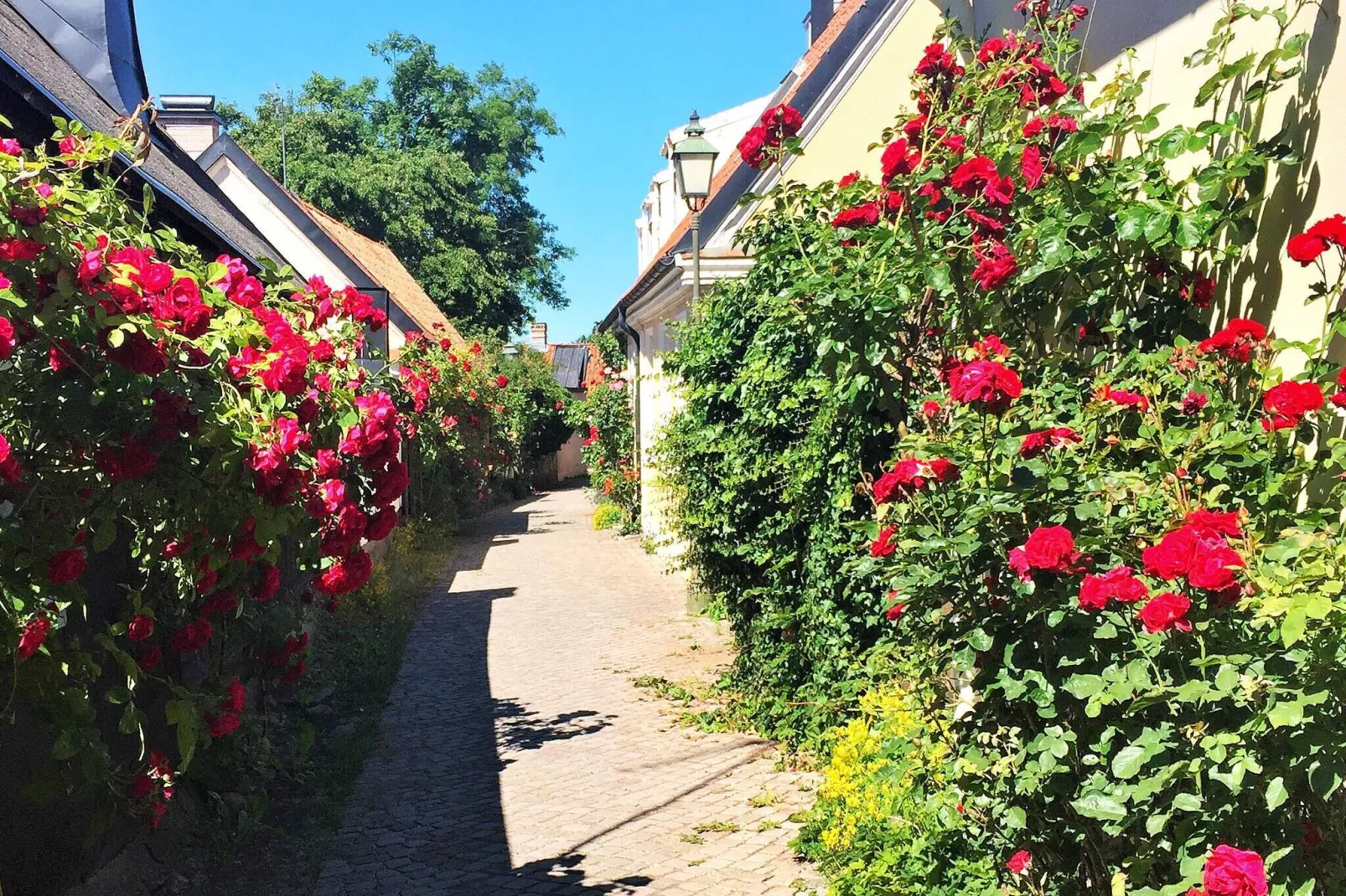 4 persoons vakantie huis in SLITE-Niet-getagd