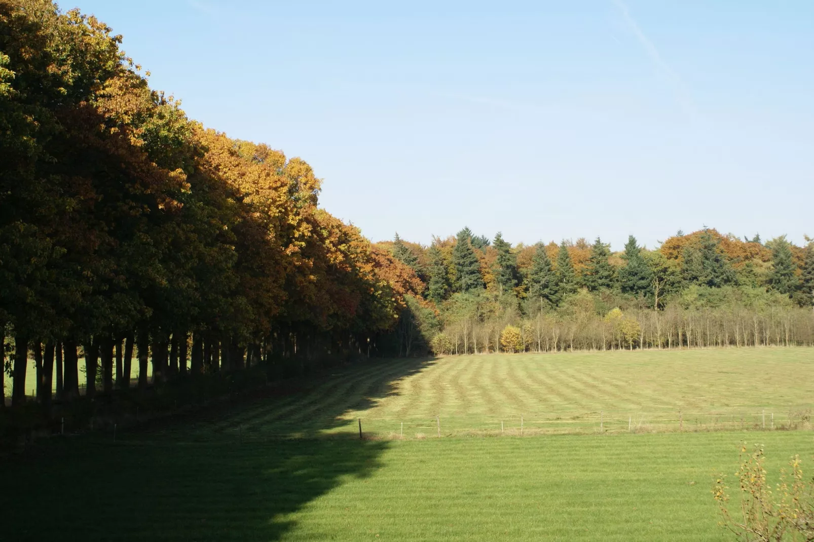 Hofstede Groot Blankenstein-Uitzicht zomer