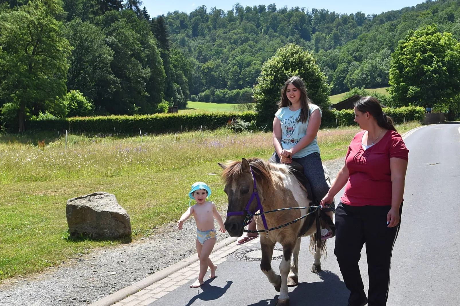 Am Ferienbauernhof - FW 6-Gebieden zomer 5km