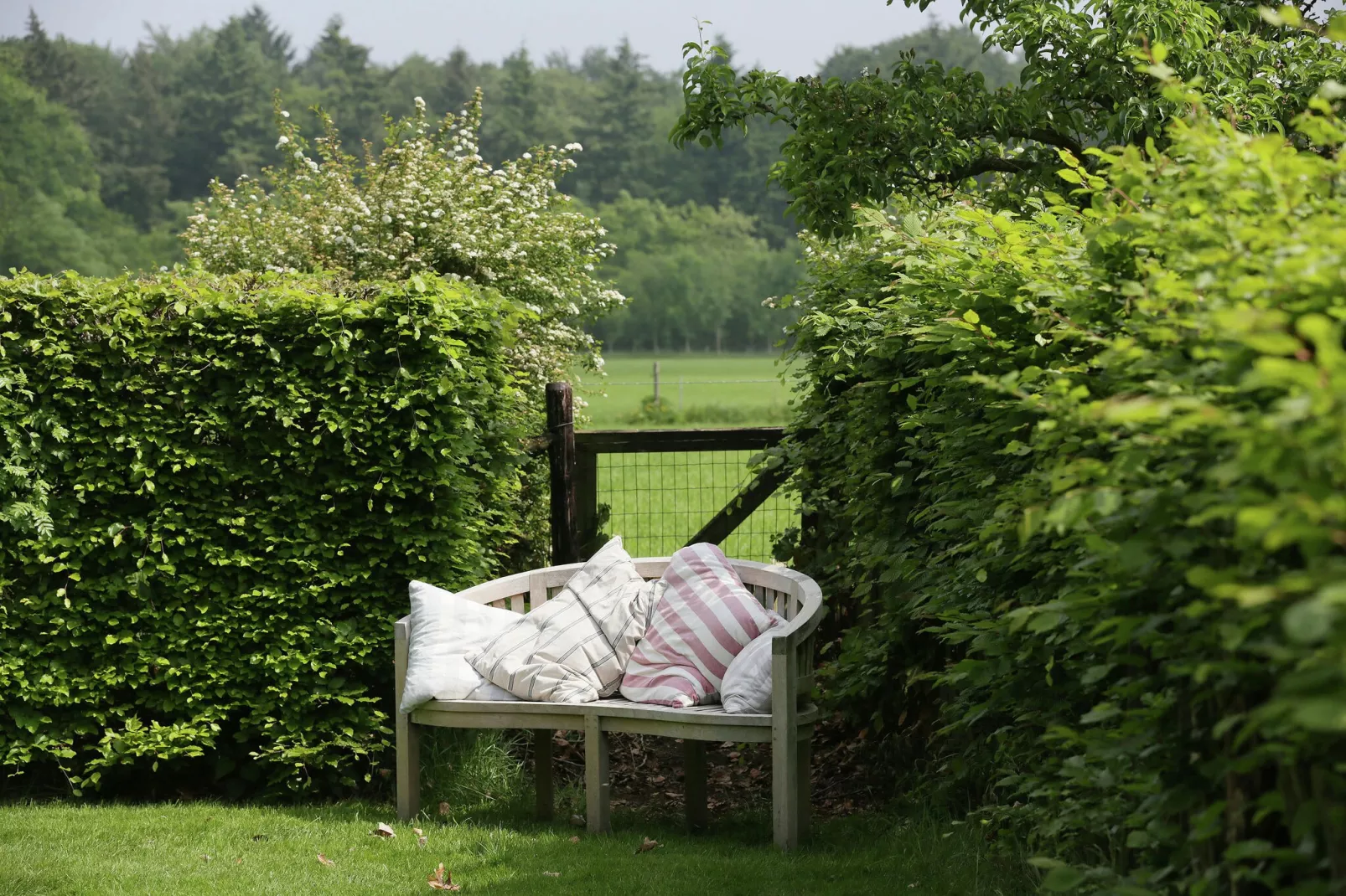 Hofstede Groot Blankenstein-Tuinen zomer