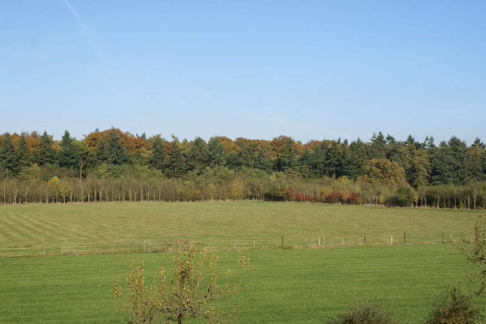 Hofstede Groot Blankenstein-Uitzicht zomer