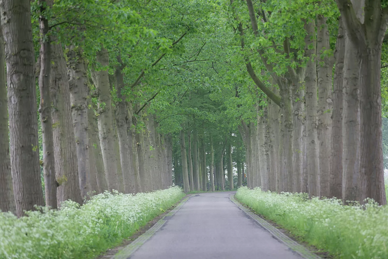 Hofstede Groot Blankenstein-Gebieden zomer 20km