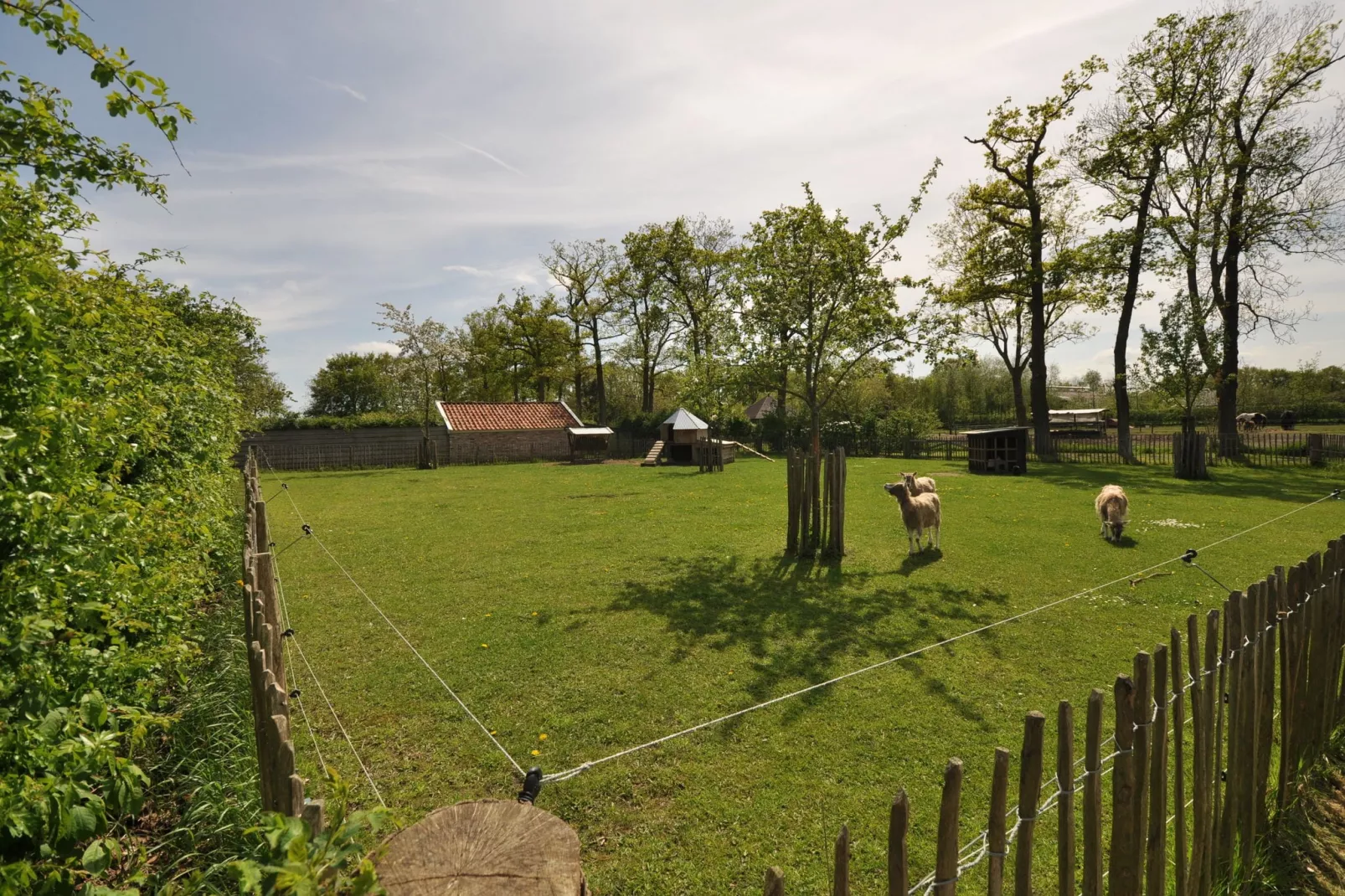 Gastenverblijf Prinsensteeg-Tuinen zomer