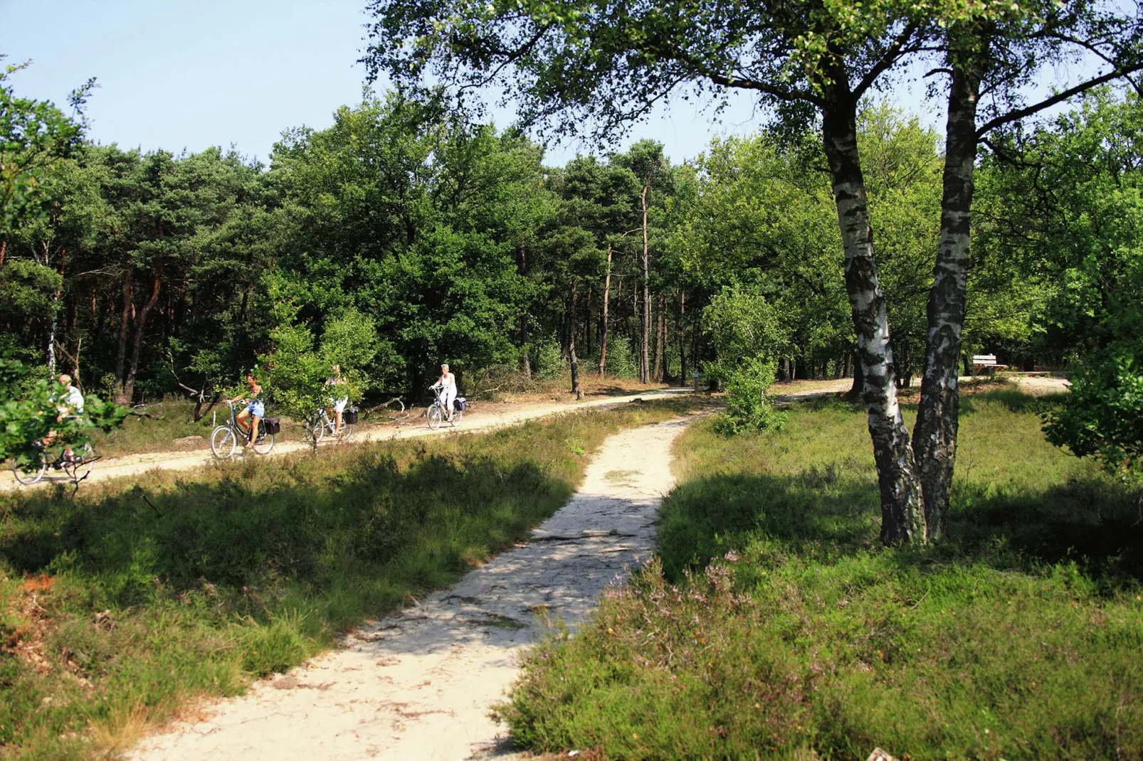 Gastenverblijf Prinsensteeg-Gebieden zomer 1km