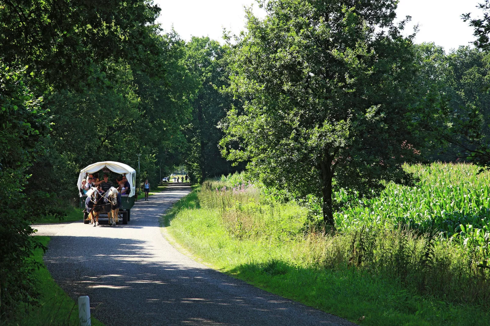 Gastenverblijf Prinsensteeg-Gebieden zomer 5km