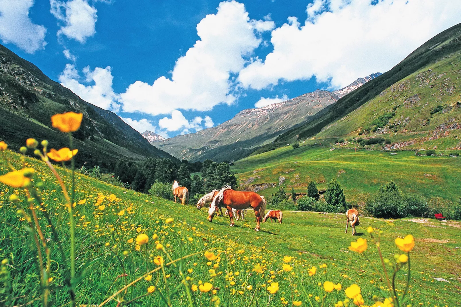 Sölden Apartment E-Gebieden zomer 20km