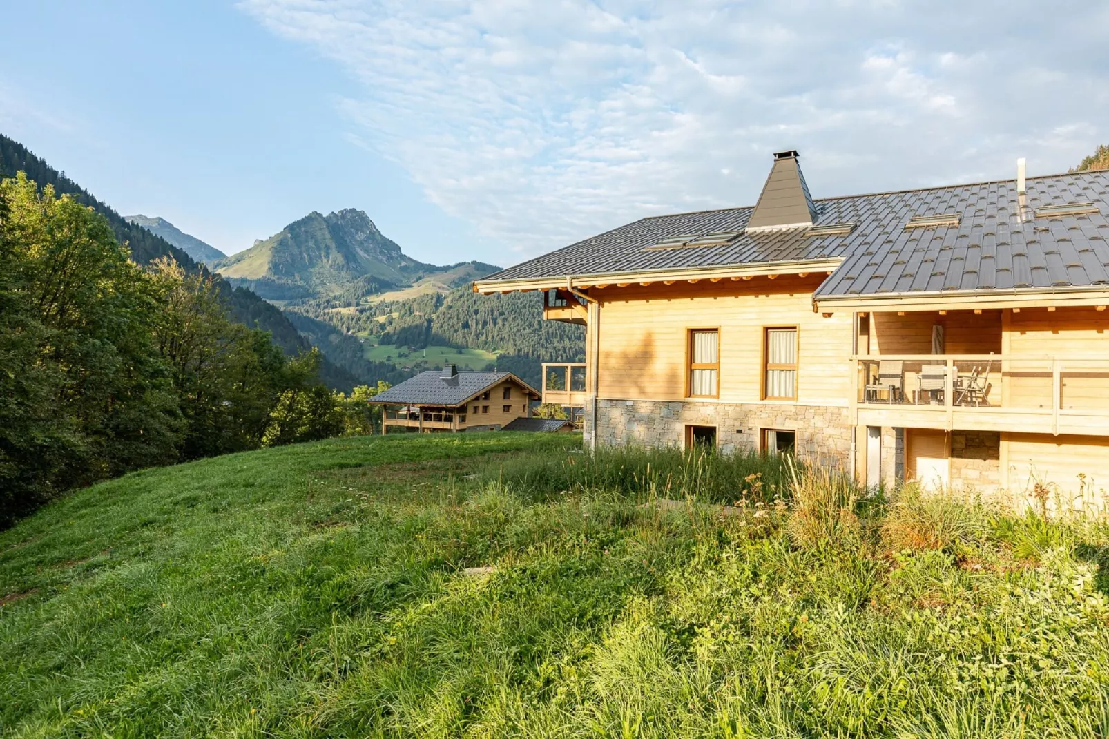 AlpChalets Portes du Soleil 1-Buitenkant zomer