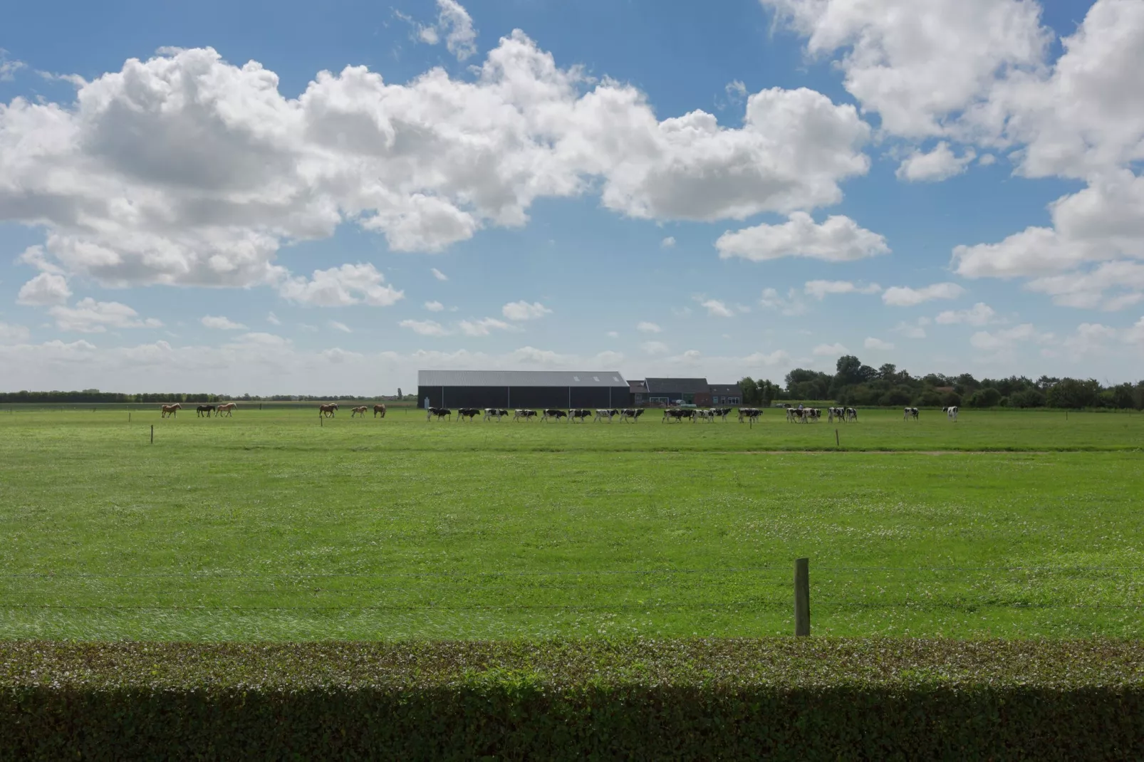 Boerderijwoning 8 personen-Uitzicht zomer