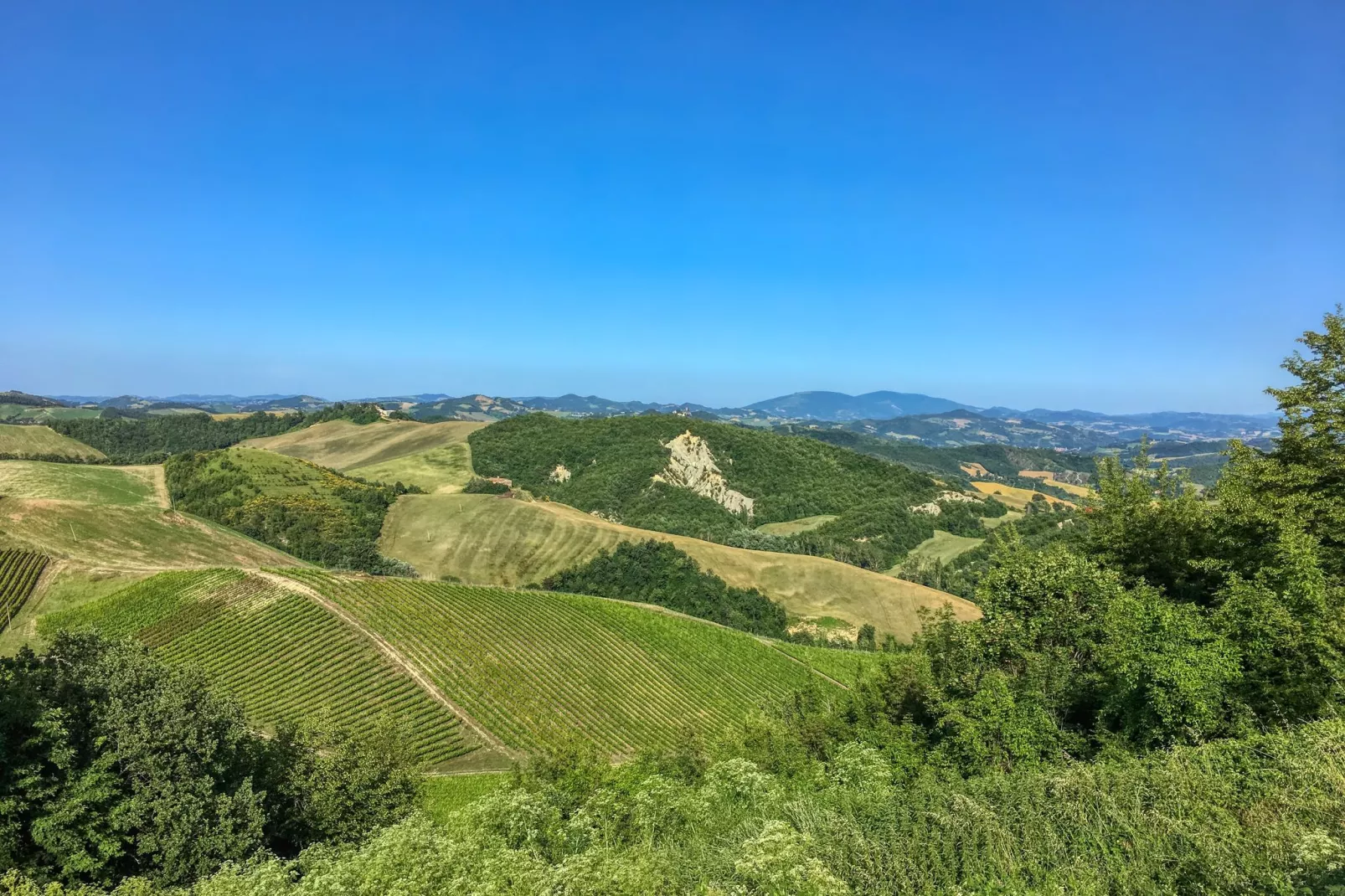 Borgo Cinque-Gebieden zomer 5km