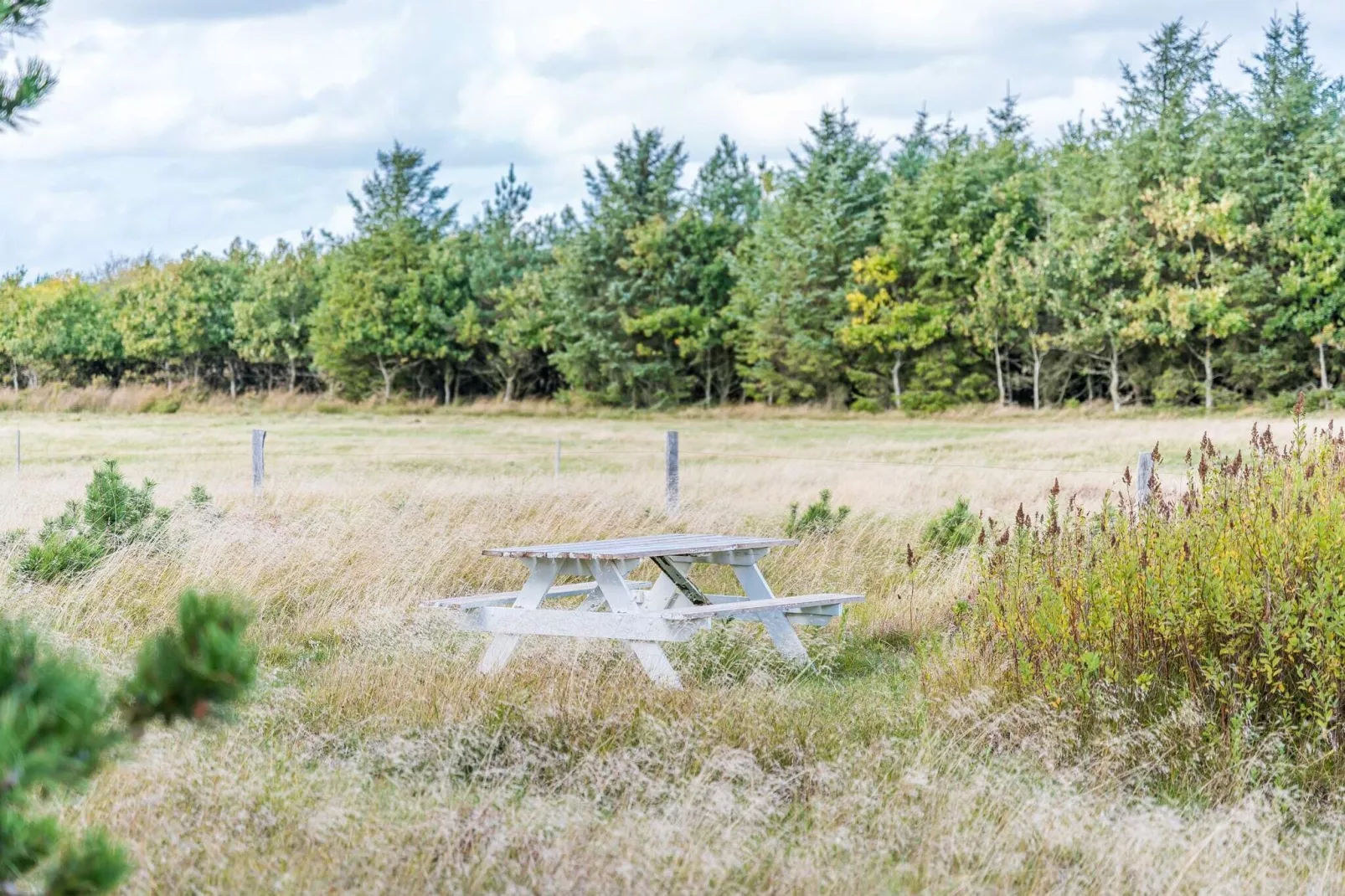 10 persoons vakantie huis in Blåvand-Uitzicht