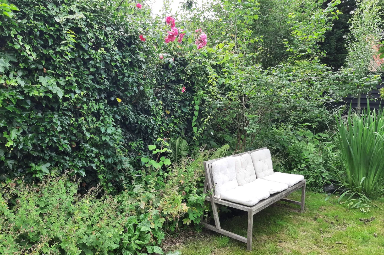Sfeervol vakantiehuis in Edam met tuin-Tuinen zomer