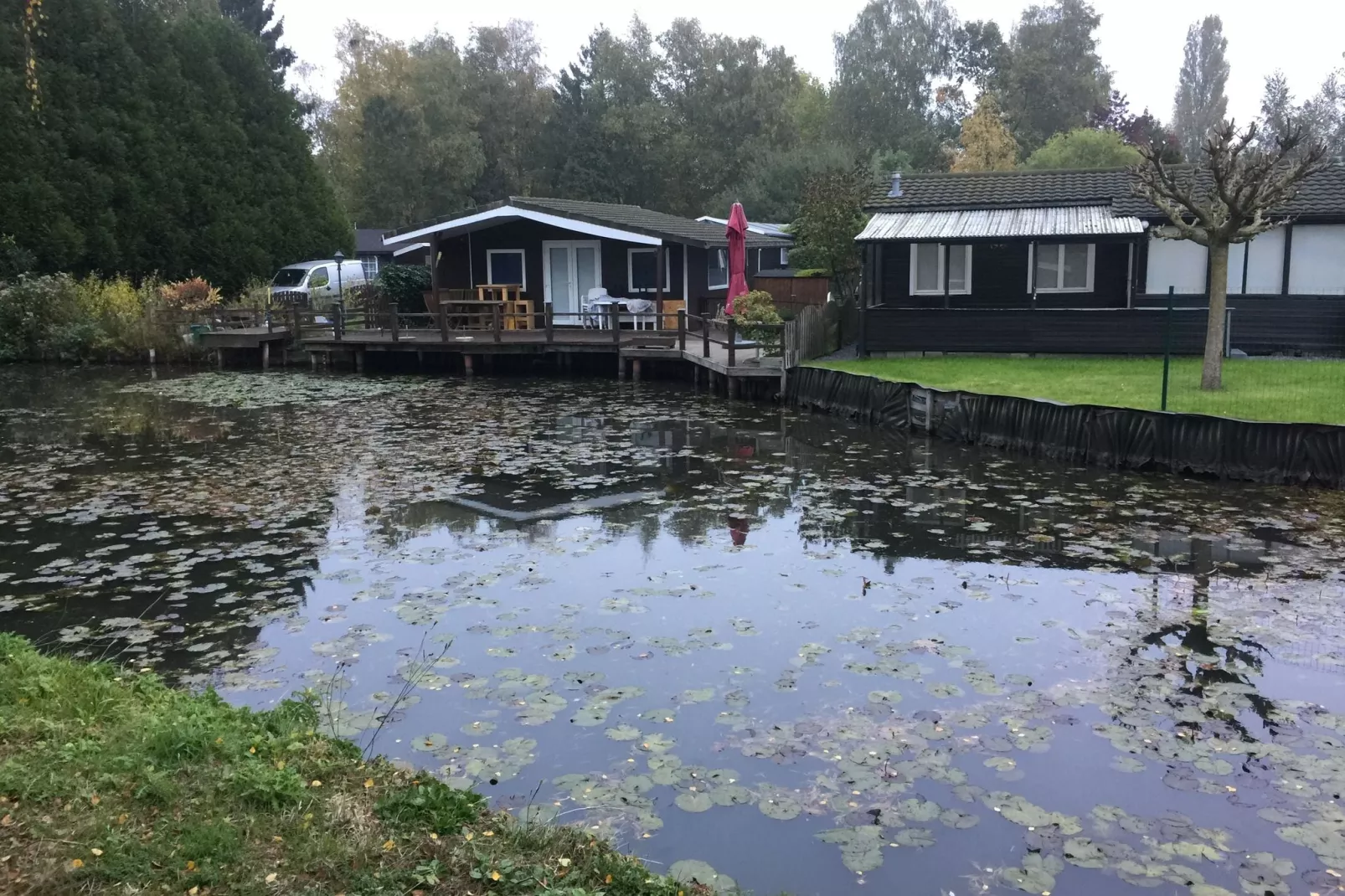 Vijverzicht-Uitzicht zomer