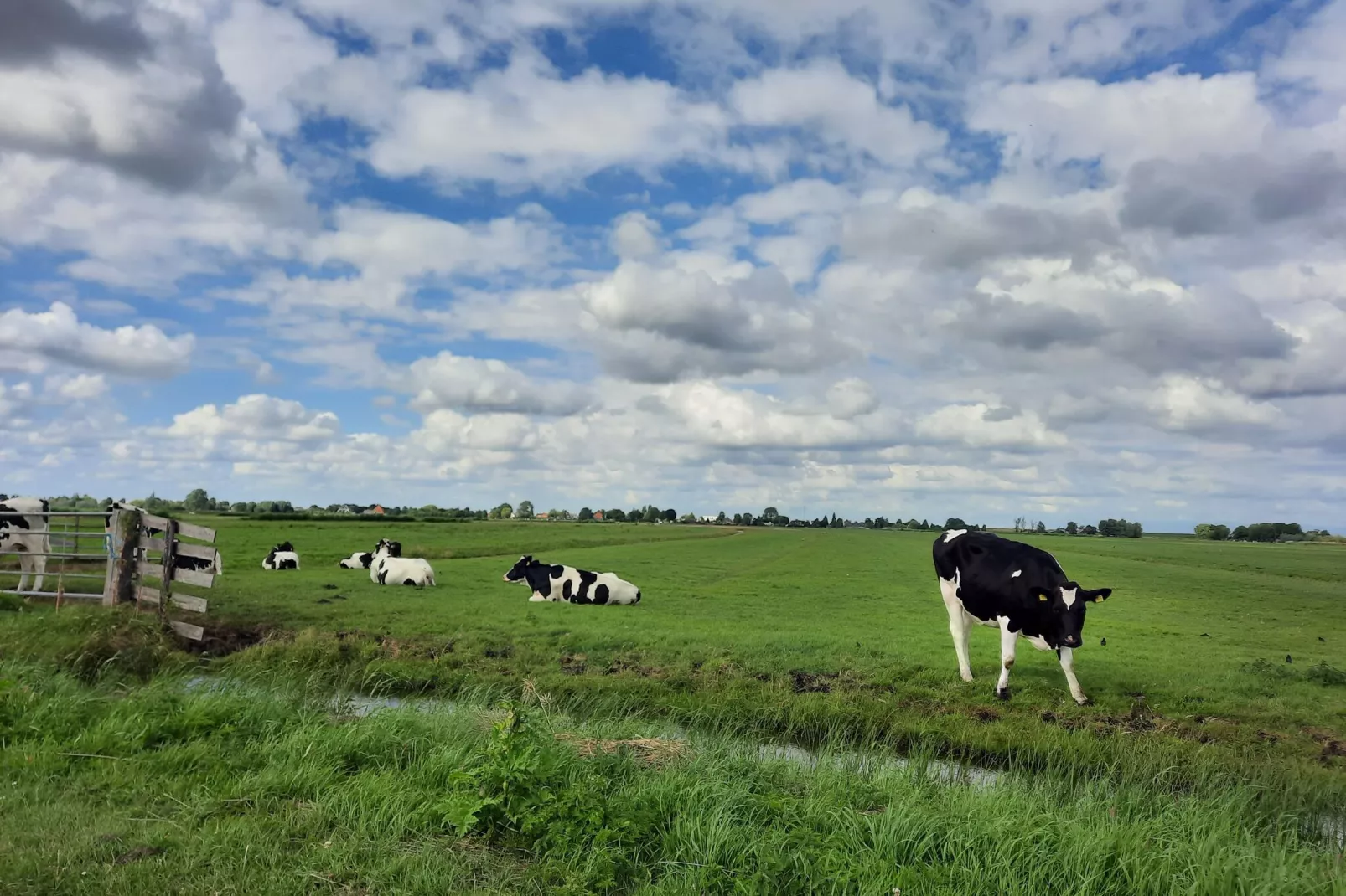Sfeervol vakantiehuis in Edam met tuin-Niet-getagd