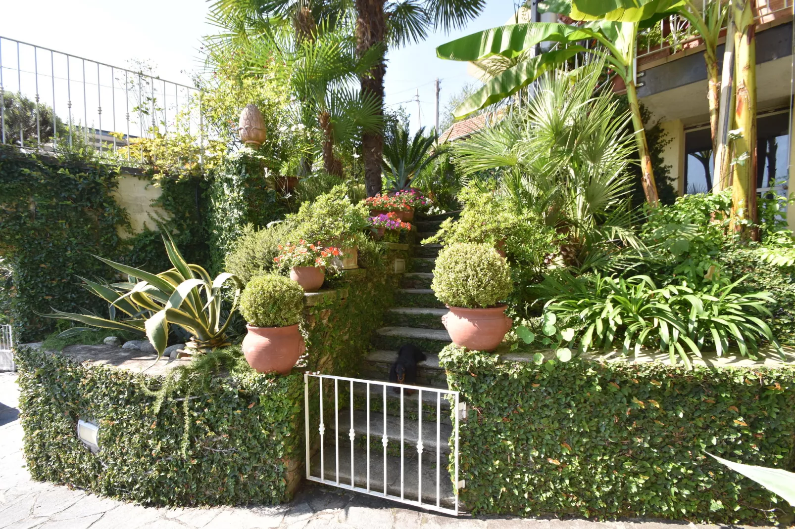 Casa Susanna-Buitenkant zomer