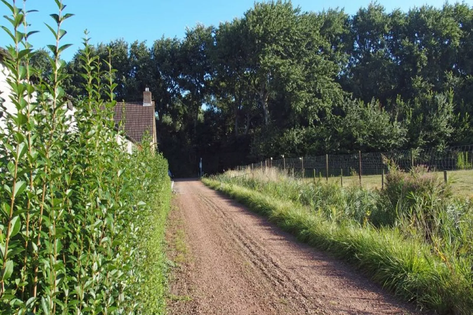 Zeldenrust 6-Gebieden zomer 1km
