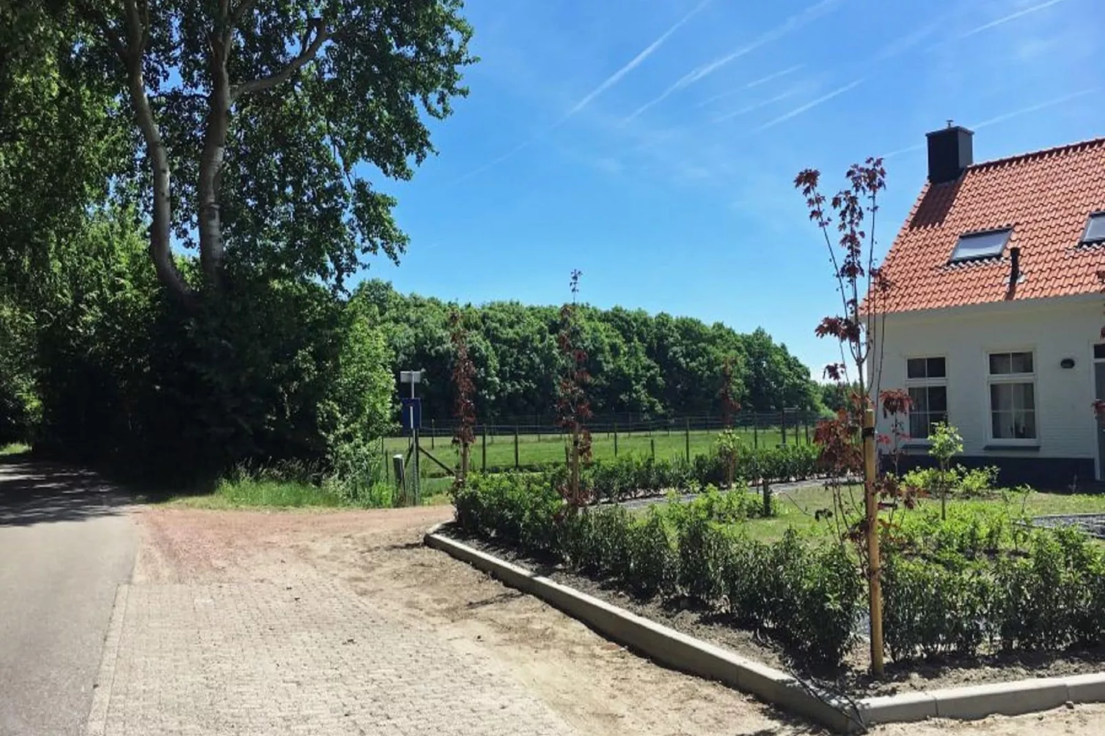 Zeldenrust 6-Tuinen zomer