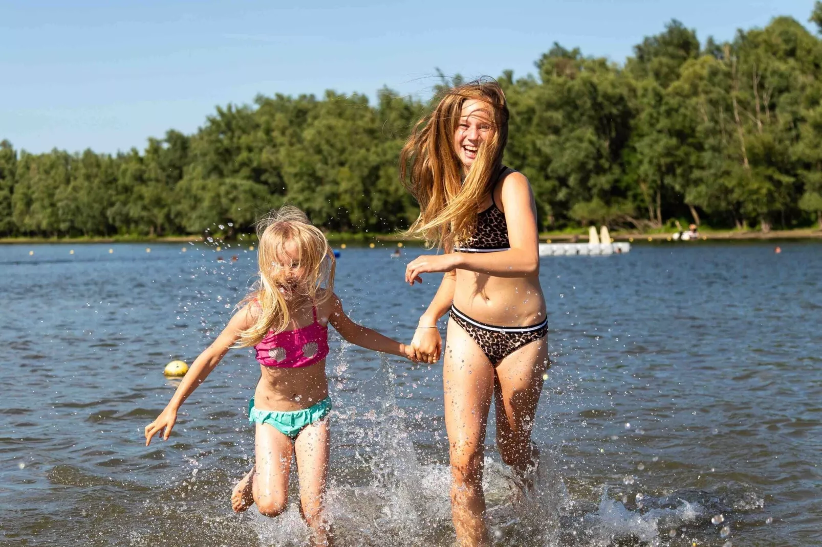 Recreatiepark Het Esmeer 2-Gebieden zomer 1km