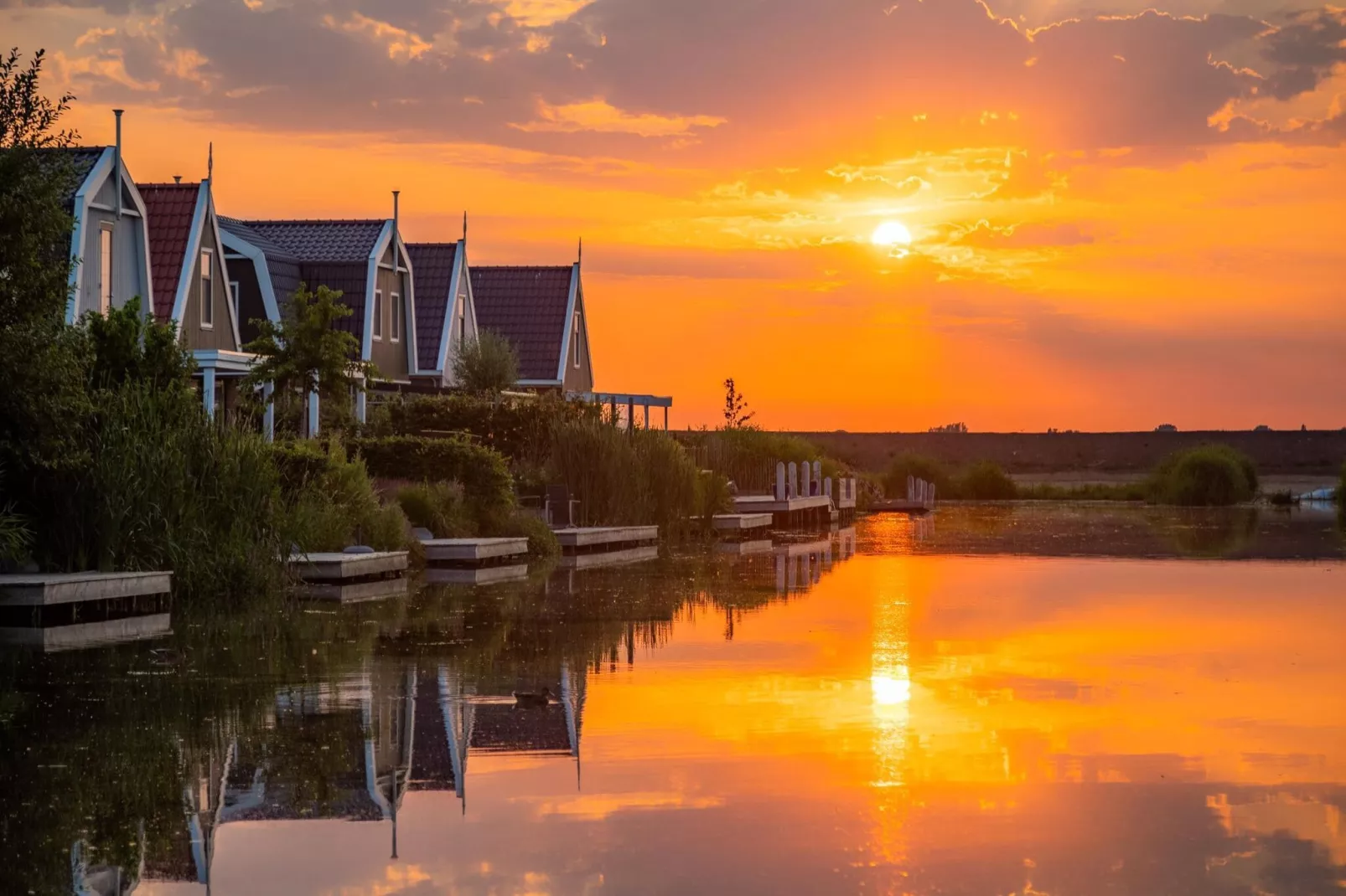 Resort Poort van Amsterdam 14-Gebieden zomer 1km