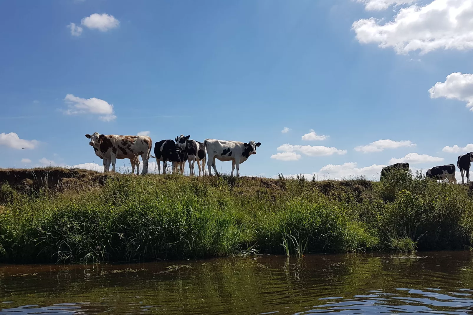 Lodgepark 't Vechtdal-Gebieden zomer 1km