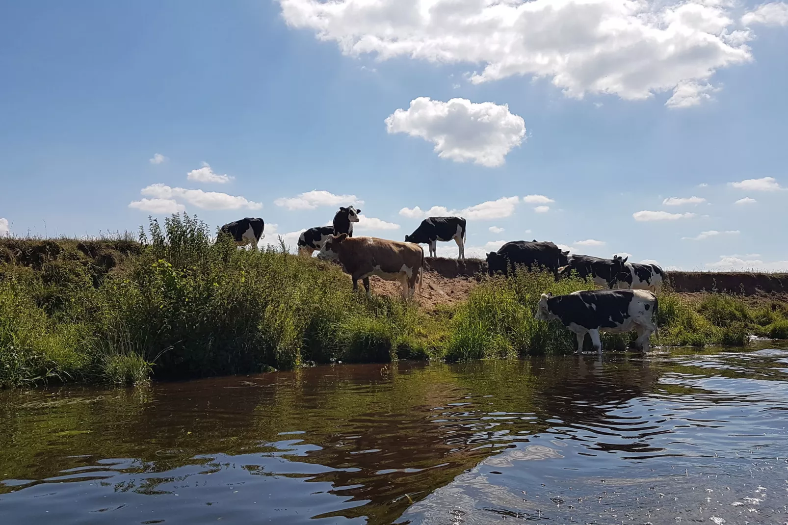 Lodgepark 't Vechtdal-Gebieden zomer 5km