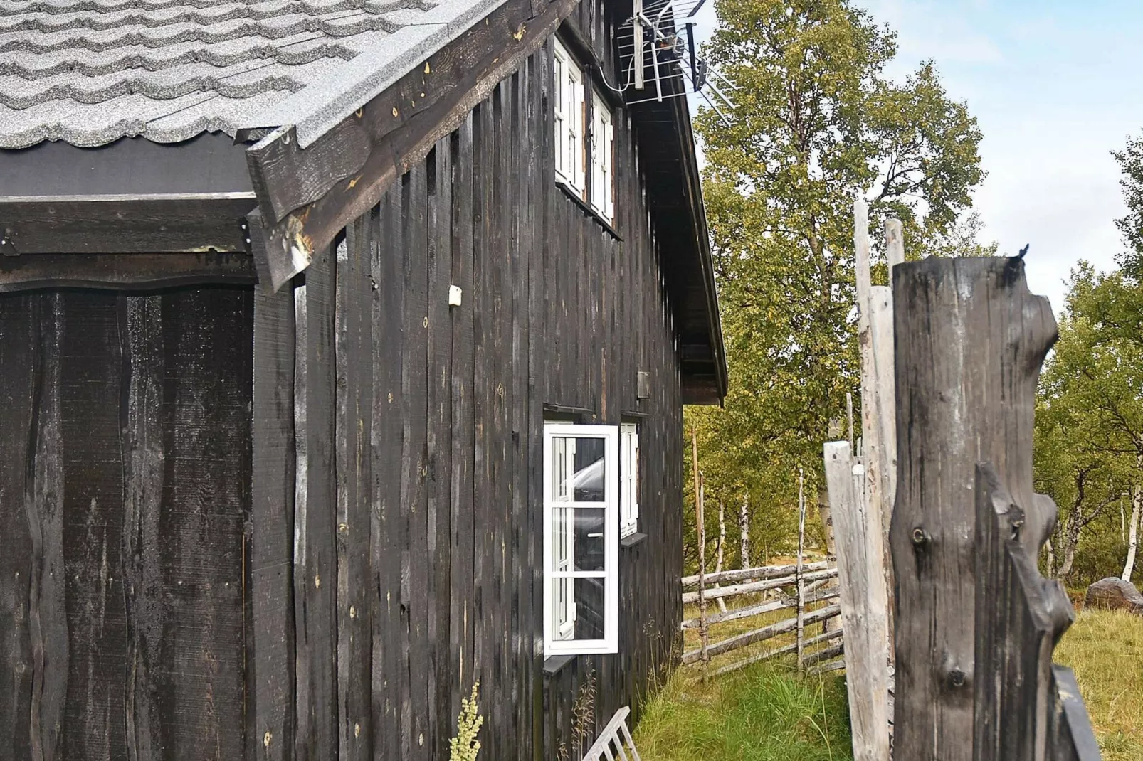 FJELLTUN 50020-Buitenlucht