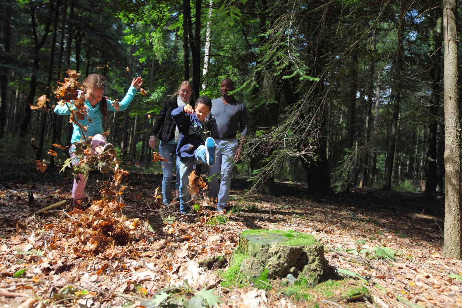 Resort De Achterhoek 18-Gebieden zomer 1km