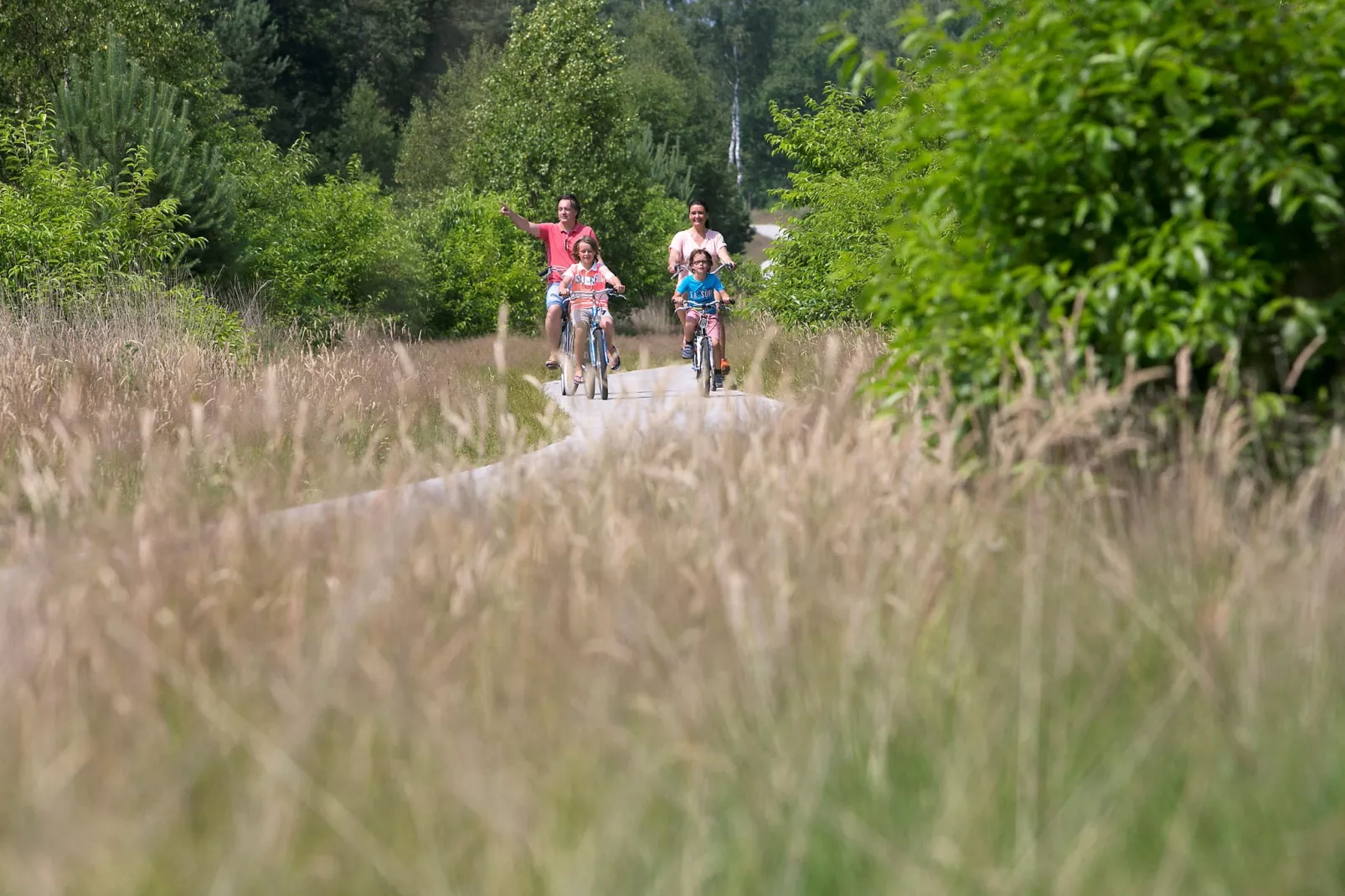 Resort De Achterhoek 18-Gebieden zomer 1km