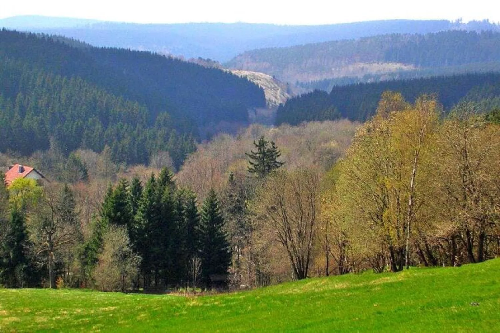 FEWO Bruns-Gebieden zomer 20km